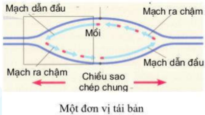 image6.png
