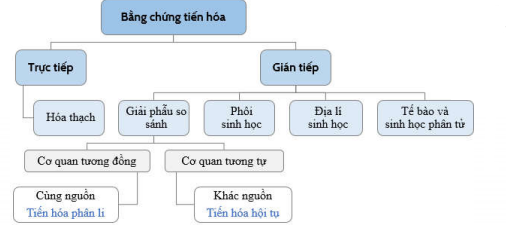 image6.png