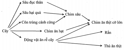 image6.png