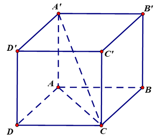 image6.png