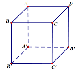 image6.png
