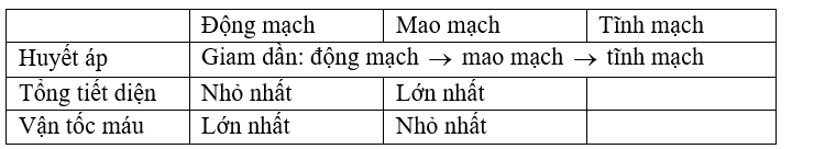 image6.png