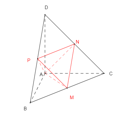 image6.png