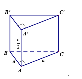 image6.png