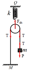 image6.png