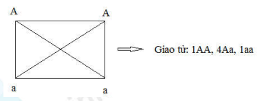 image6.png