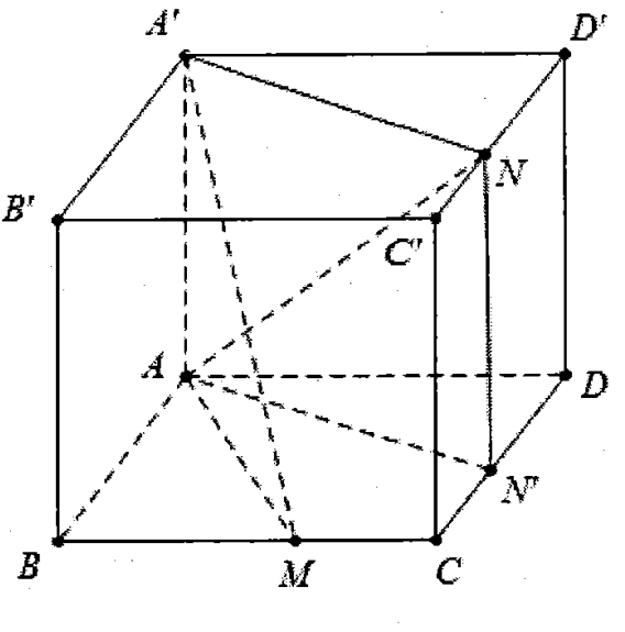 image6.png