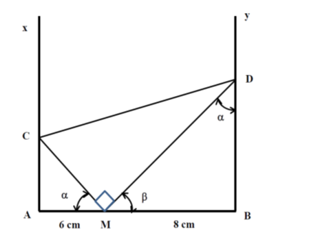 image6.png