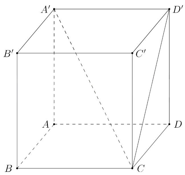 image6.png