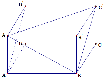image6.png