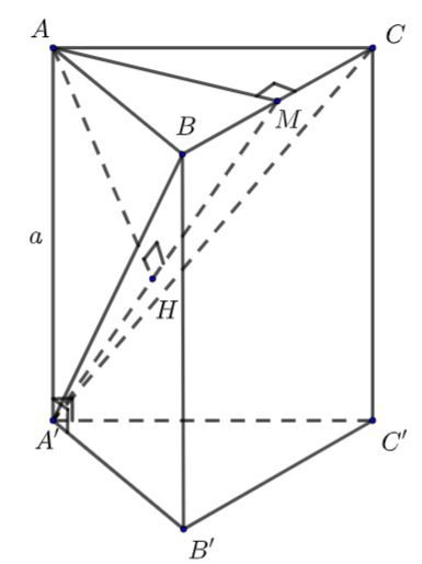 image6.png