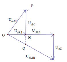 image6.png