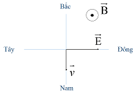 image6.png