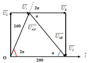 image6.png