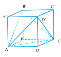 image6.png
