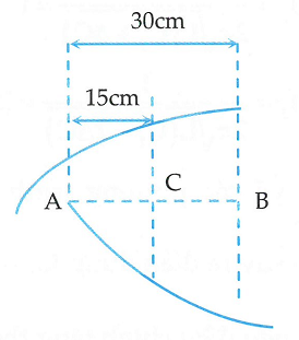 image6.png