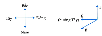 image6.png
