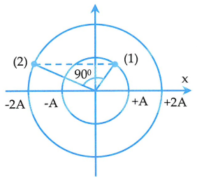 image6.png