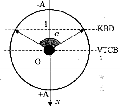 image6.png