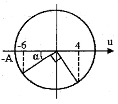 image6.png
