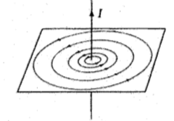 image6.png
