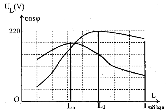 image6.png