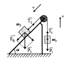 image6.png