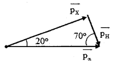 image6.png
