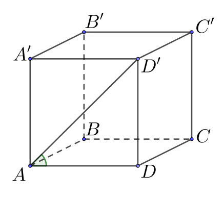 image6.png
