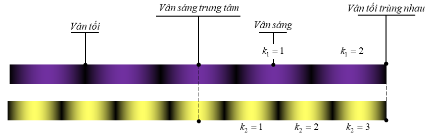 image6.png
