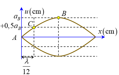 image6.png