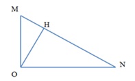 image7.jpg