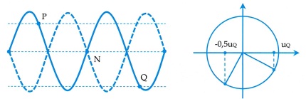 image7.jpg