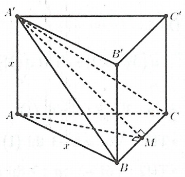 image7.jpg