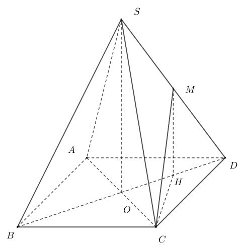 image7.jpg