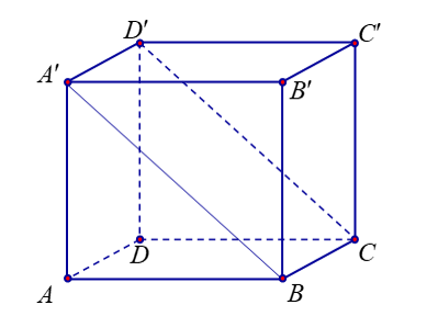image7.png
