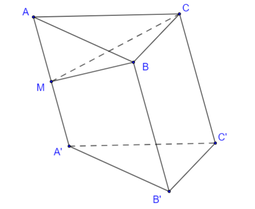 image7.png