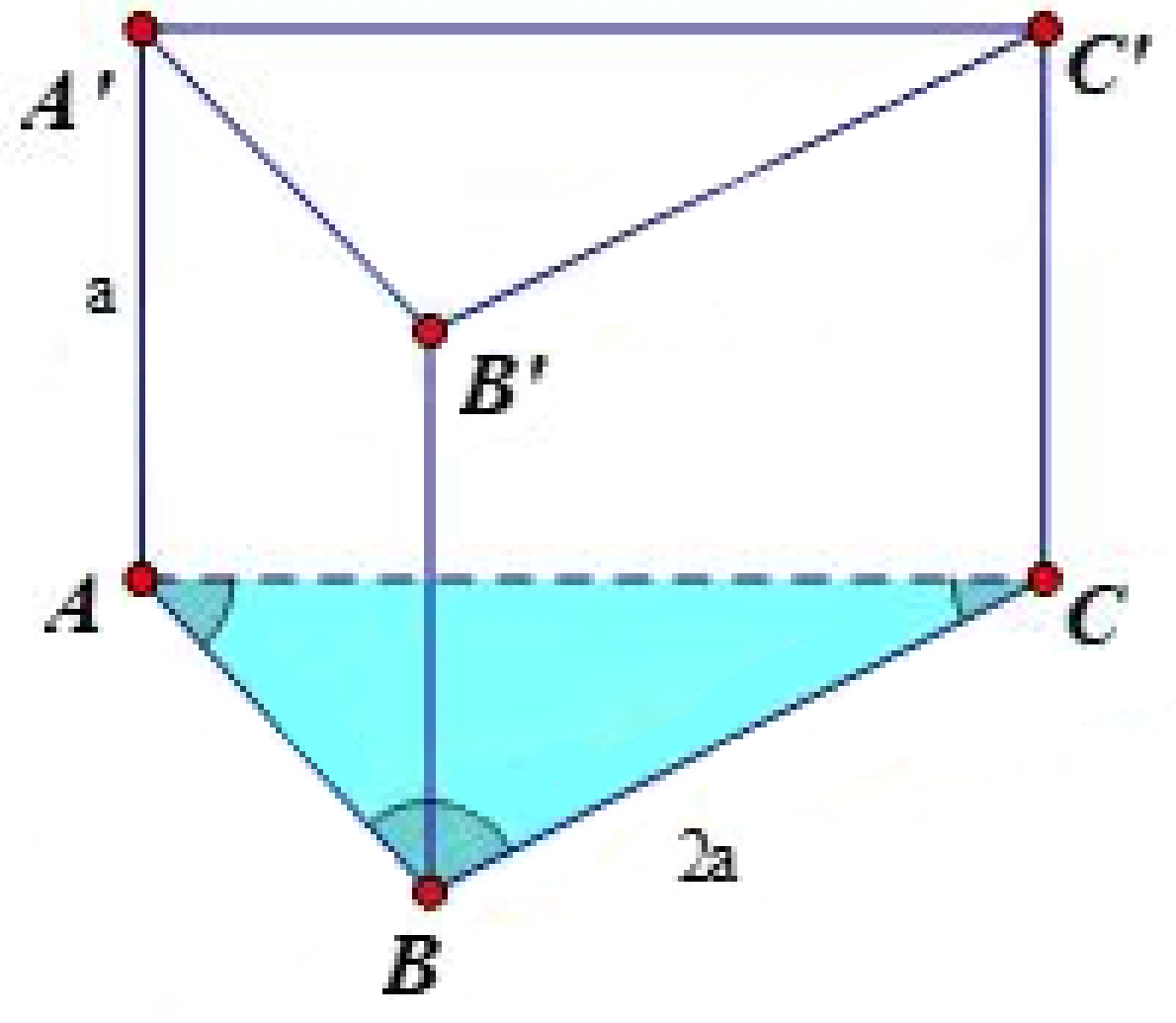 image7.png