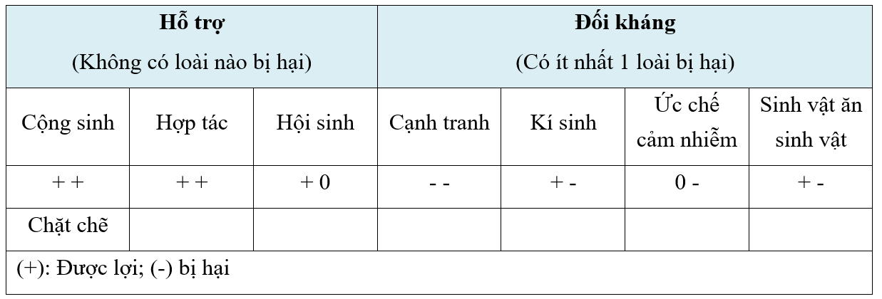 image7.png