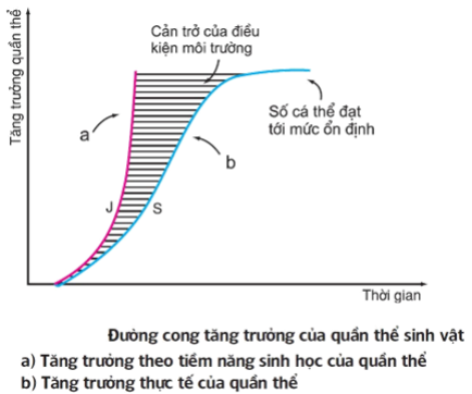 image7.png