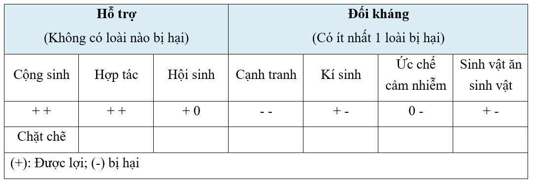 image7.png