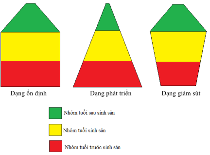 image7.png