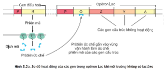 image7.png
