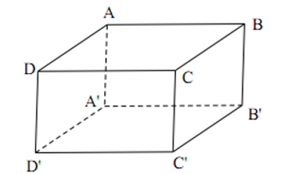image7.png