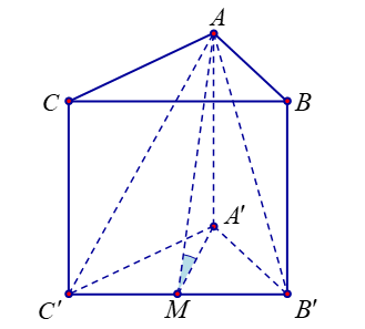 image7.png