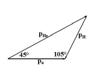 image7.png