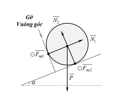 image7.png