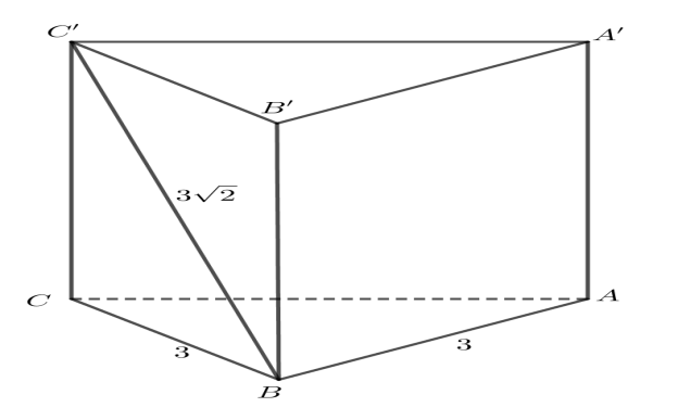 image7.png