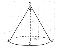 image7.png