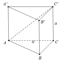 image7.png